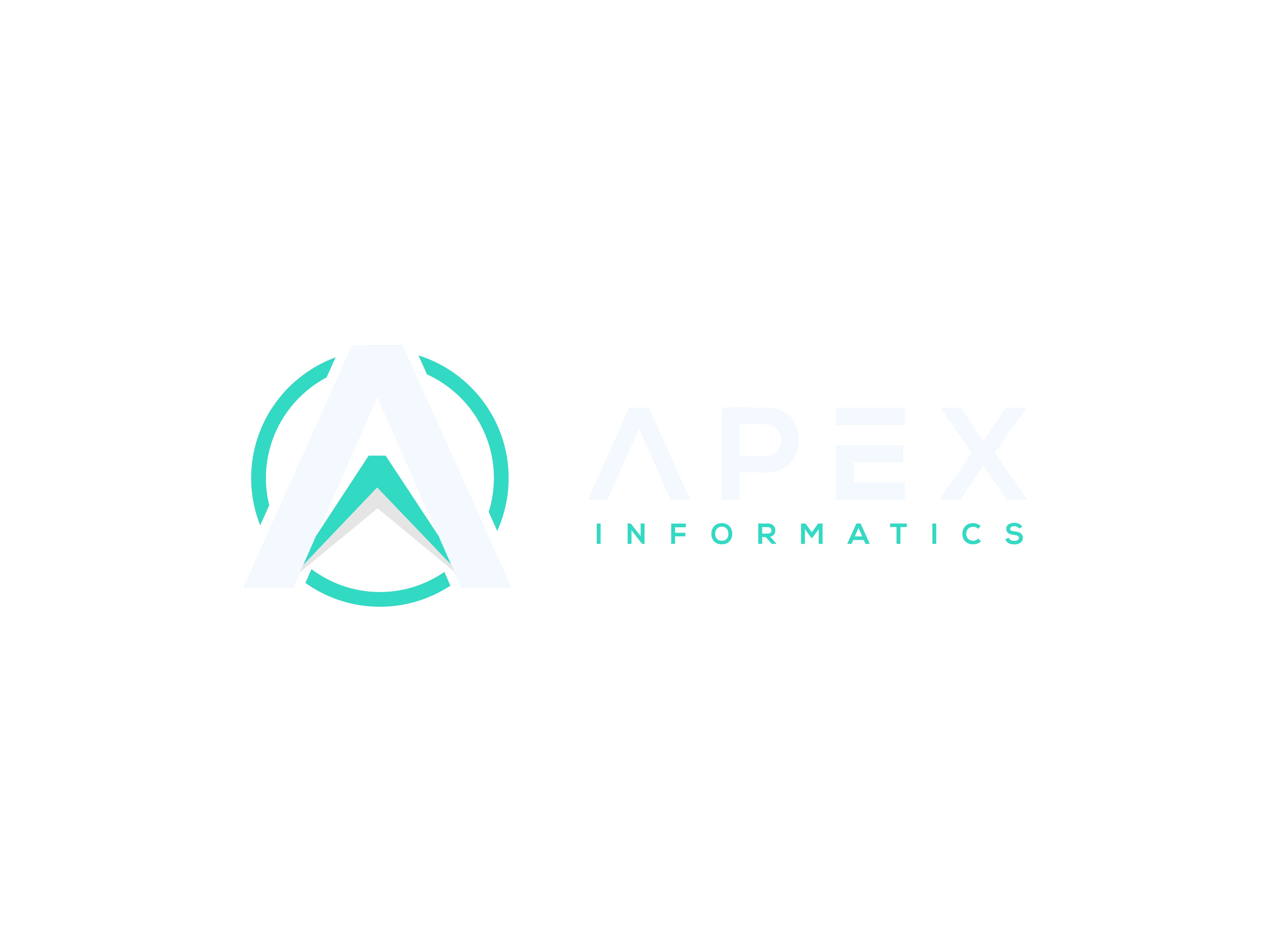 Apex Informatics Full Logo